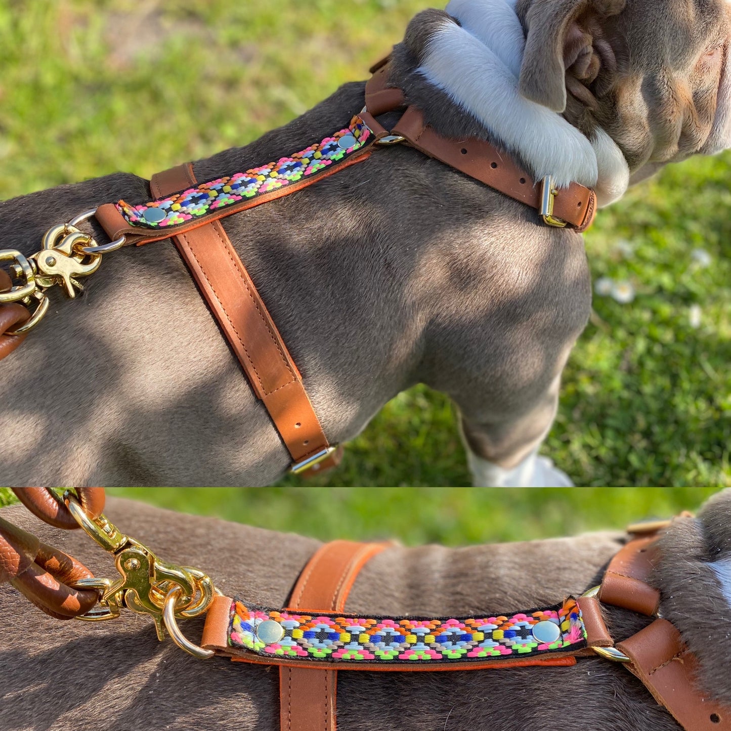 Hippie Y harness XS