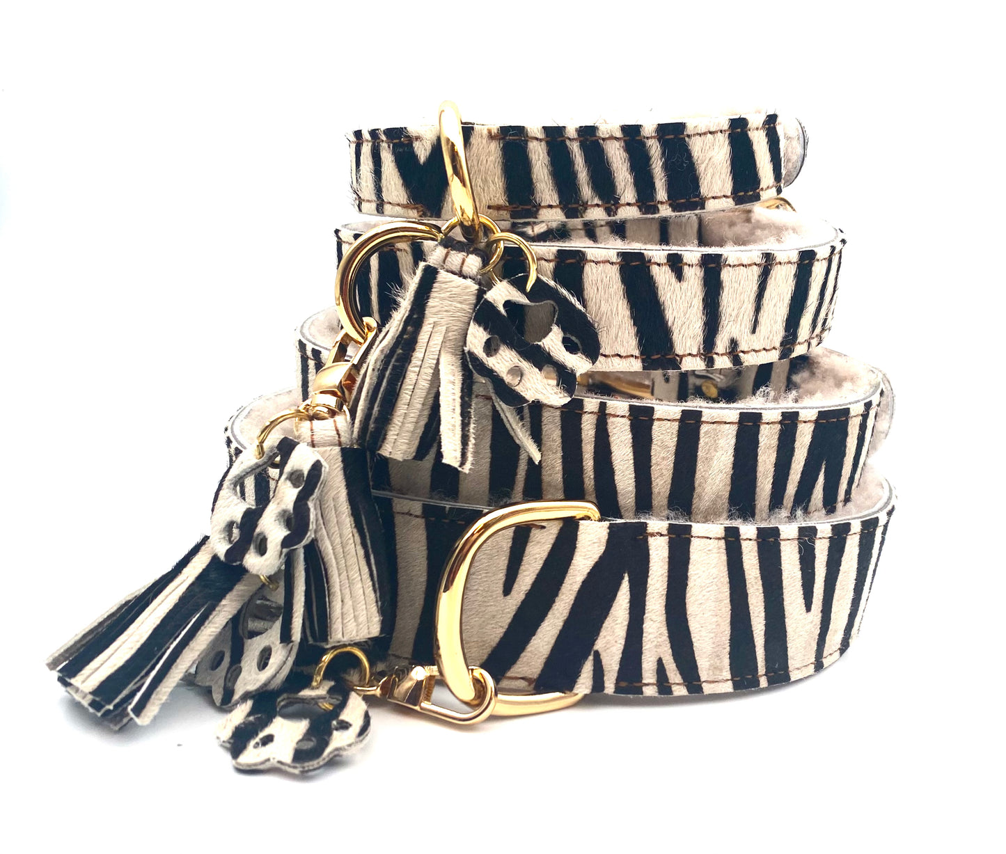 Wildness Zebra